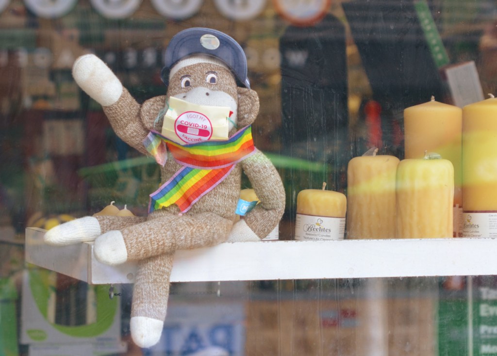 a sock monkey sits in a store window, wearing a rainbow flag scarf and a sticker that says I got my covid-19 vaccine