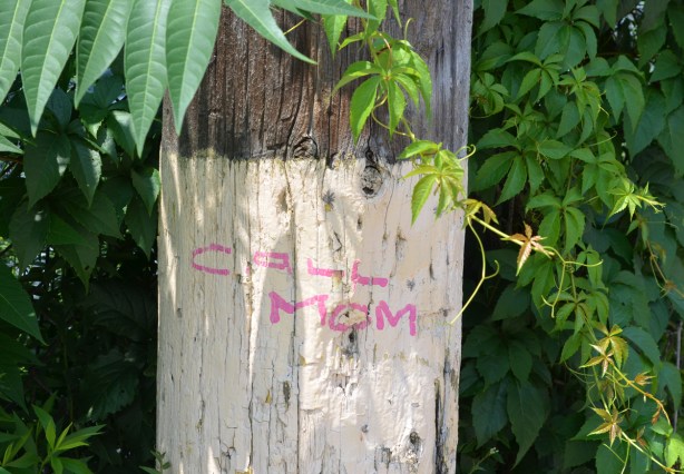 a wood utility pole with bottom part painted white. Written in pink letters, call mom. greenery around the pole