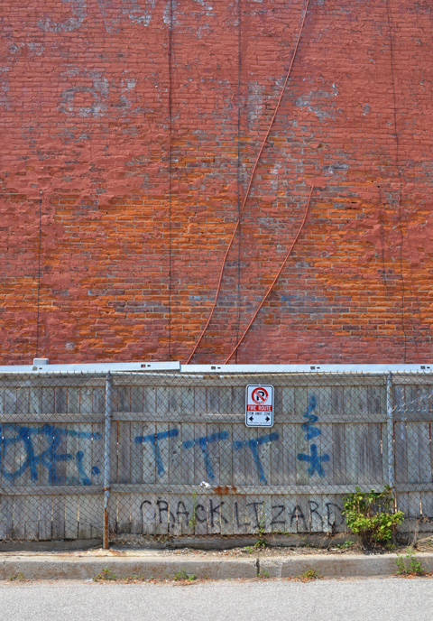 top of photo is red brick wall, bottom of image is a weathered wood fence with words crack lizard written on it