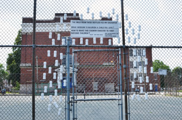 empty white milk bottles arranged on the fence beside Bloordale Collegiate 