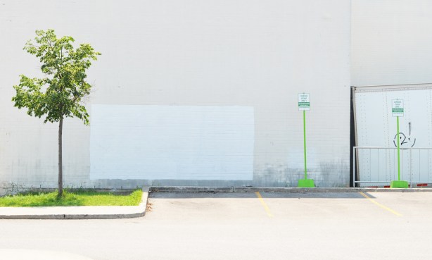 small tree beside parking lot with white wall behind