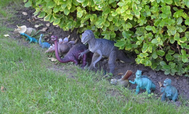 toy dinosaurs lined up in the front yard of a house