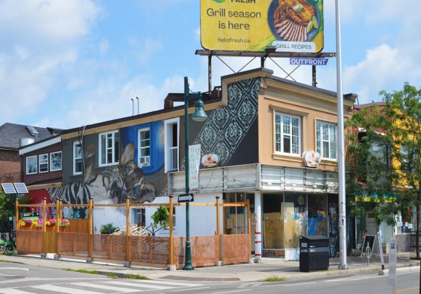 empty store on the corner, mural of cats has been tagged