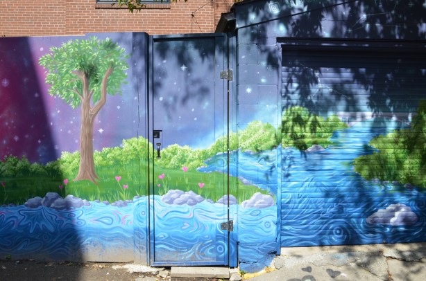 part of a mural in an alley covers fence and a door in the fence, wood, painting of a landscape scene with water, green shrubs, a tree, and night sky with stars 