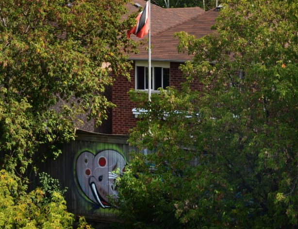 graffiti painting of an elephant head on a wood fence, behind some bushes, behind a brick house with a black and red flag