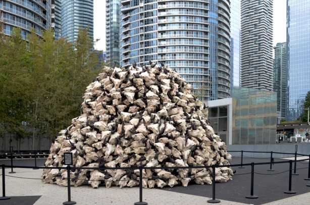 a large pile of buffalo skulls, art installation, with glass and steel condos rising behind, 