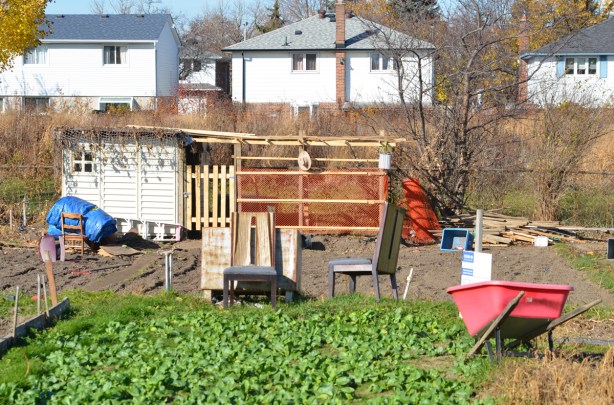 community garden in the meadoway with back of houses in the background