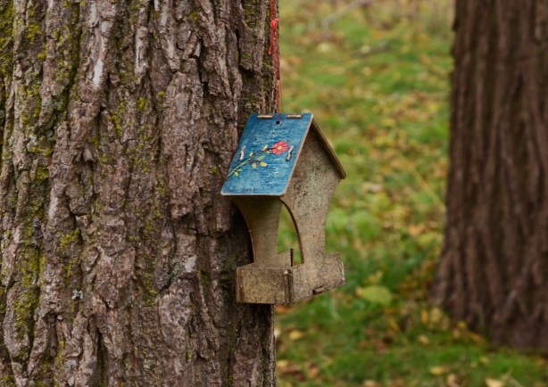 small bird feeder on a tree, with a blue roof with red flower painted on the roof 