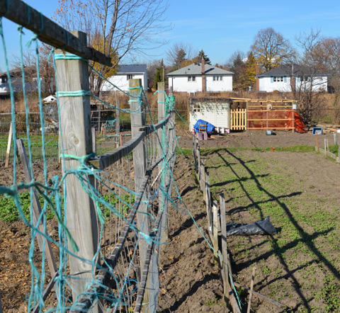 string and wire make a fence around a community garden plot 