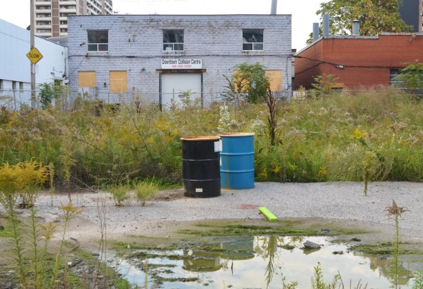 a black and a blue metal drum shaped container, barrels, in vacant lot, with large puddle and tall weeds by vacant Downtown collision center building