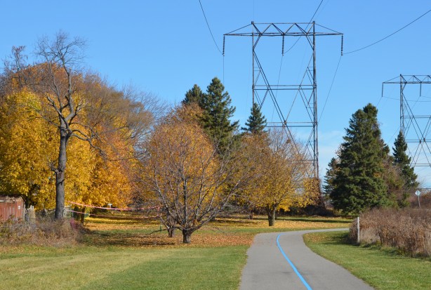 meadoway in autumn, hydro lines and towers, a badminton net, path, bike path, grass, 