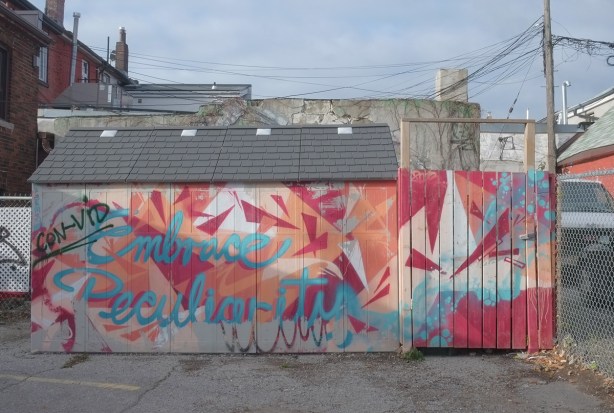 street art mural on the side of a garage that says embrace peculiarities