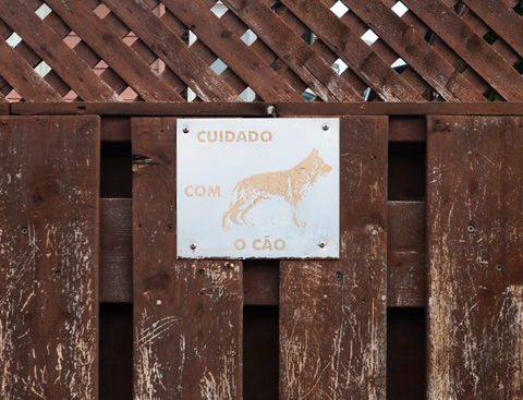 on a dark brown fence a faded beware of dog sign in Portuguese