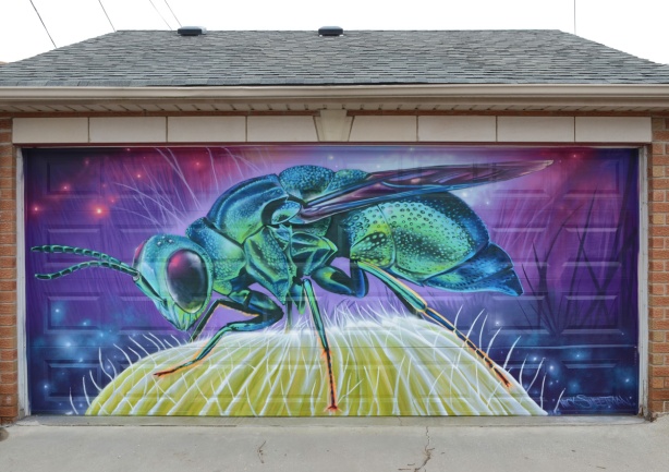 mural by Nick Sweetman on a garage door in an alley, a large blue green bee on a yellow flower