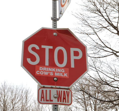 stop sign, altered with a sticker, to now say stop drinking cow's milk
