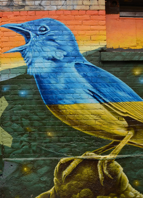 crow-like bird with beak open wide as it makes noise, top part blue and bottom part yellow, for Ukraine