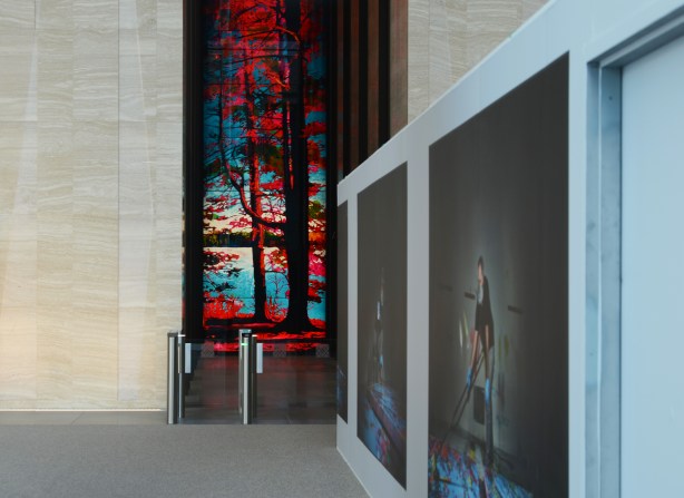 looking in the window of the new CIBC building in downtown Toronto, interior glass windows, very tall, of a scene with red leaves on tree and blue sky, 