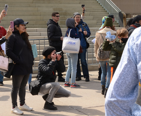 people taking pictures at the pillow fight