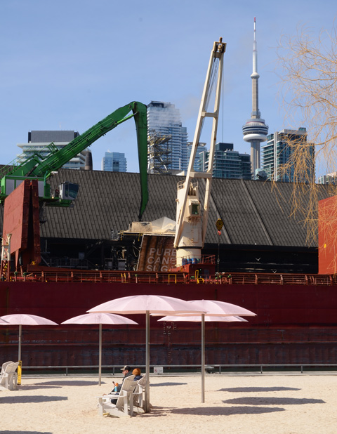 sugar beach with pink umbrellas in the foreground, a sugar ship unloading at Redpath in the background, Toronto skyline with CN Tower in the distance