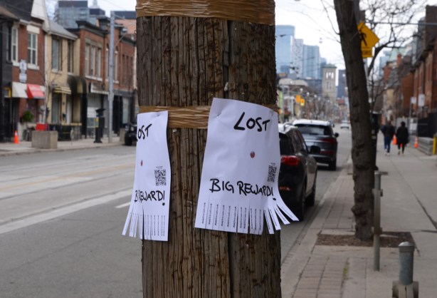 2 posters on a utility pole, Lost
