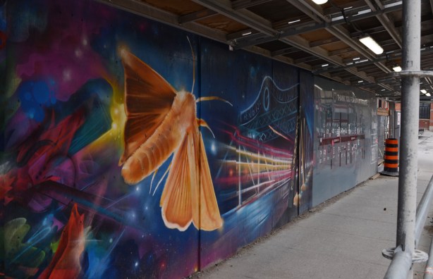 large orange moth on a dark blue and purple sky, mural on hoardings 