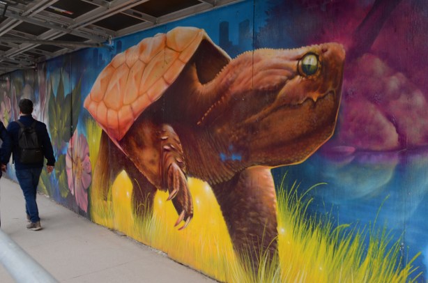 mural of large brown turtle on yellow grass, mural on hoardings 