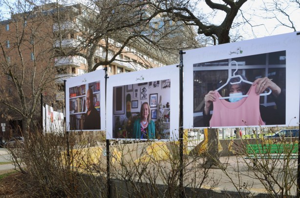 in David Crombie Park, 3 large posters each with one large portrait, on the right is a woman holding up a pink T- shirt 