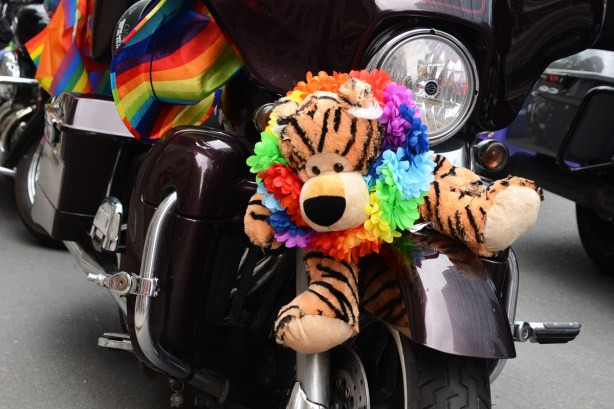 stuffed tiger with rainbow garland around it, on front of a motorcycle