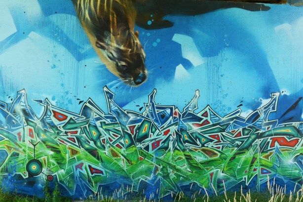 Philip Cote mural with Jarus and Kwest, an otter swims in the water, looking down under the surface