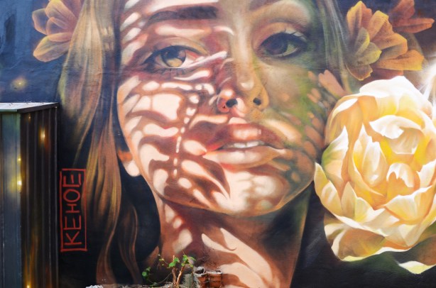 part of a mural, section painted by Meagan Kehoe, of a woman's head, in the shadows, 