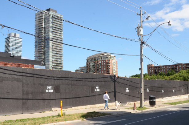a young man walking his white dog along the sidewalk, past black painted plywood hoardings around a construction site, Berkely Street