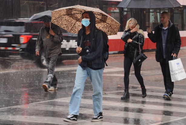 people crossing yonge street in the rain, one with brown and white animal print umbrella and wearing a covid mask