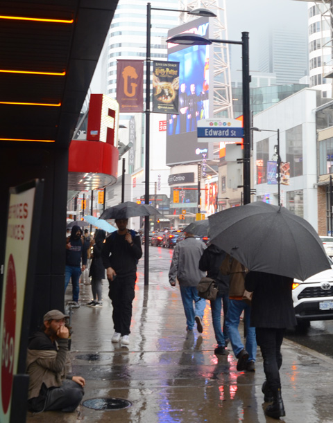 people walking with umbrellas on wet sidewalk on Yonge, at Edward, going south towards Dundas