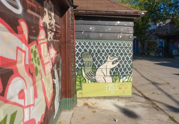 emily may rose raccoon mural an a garage in David French Lane