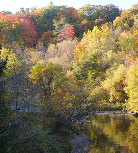october scene, leaves on trees in different shadesof greens, yellows, and oranges, with blue water of highland creek, as well as reflections of leaves in the water