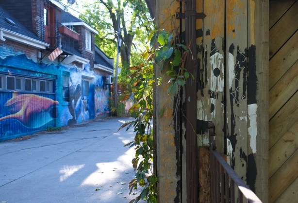 in the foreground, black and white faded and peeled painting, with mural across the lane in the background which has a marine theme, large whale and other aquatic animals