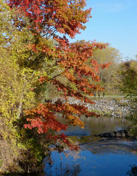 people walking by highland creek in october with lots of red leaves on the trees