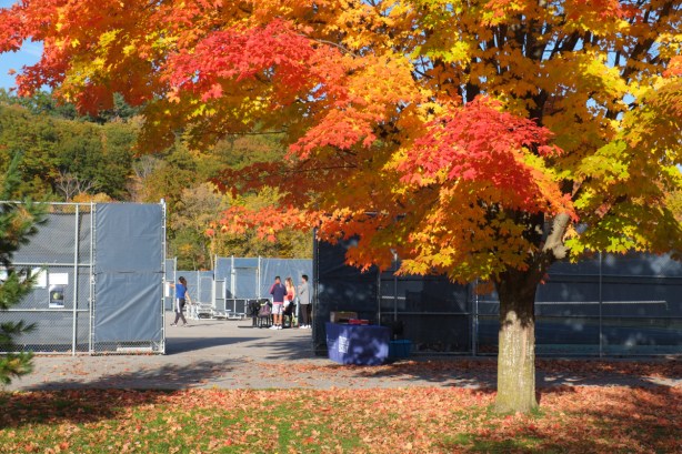 people at univerity of toronto scarborough campus tennis courts on lower playing fields, october, trees in bright autumn colours