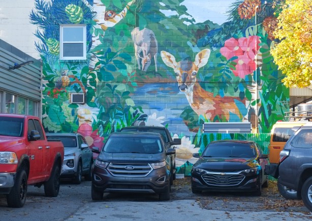 vehicles parked in front of a large mural of a forest scene with deer, a creek, 