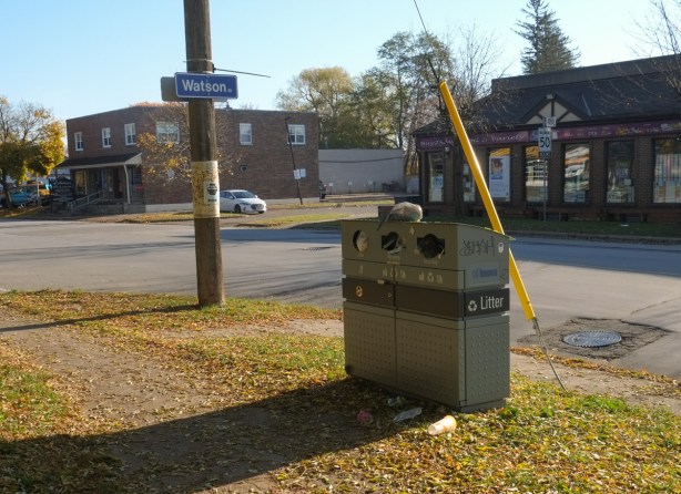 overflowing city garbage container between sidewalk and street