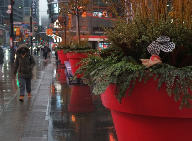 large red planters at Yonge Dundas square with evergreen boughs, ribbons and other Christmas time decorations, 