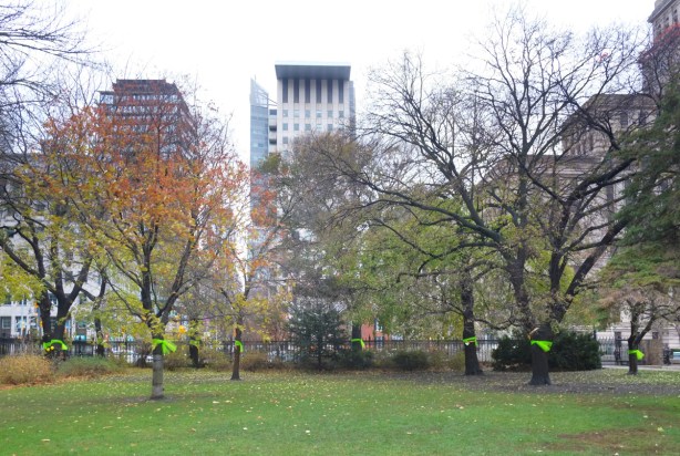 green space in front of Osgoode Hall, trees, grass, tall buildings in the background (looking south)