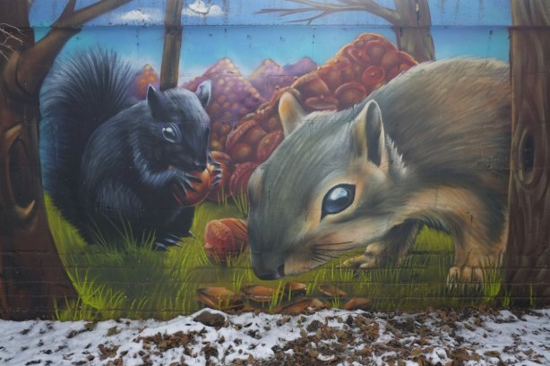 mural, outside, close up of a black squirrel and a grey squirrel and their piles of nuts