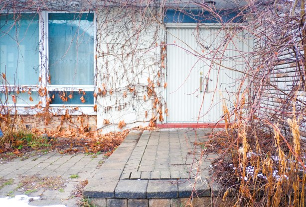 front entrance of house with old vines covering walls and part of windows