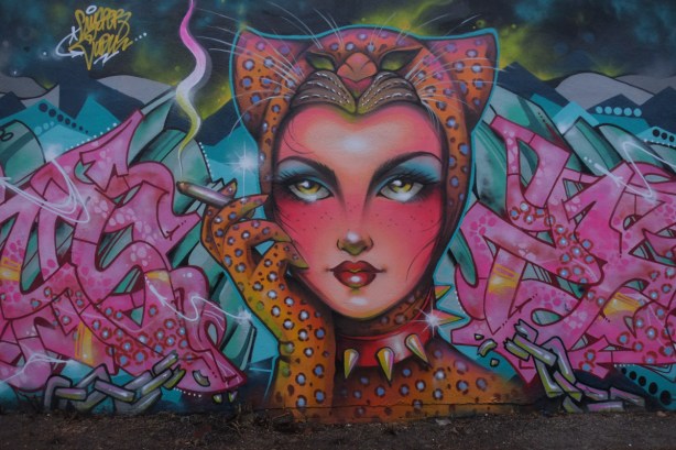 mural of a woman dressed like a pink and orange cat, large, covers side of garage