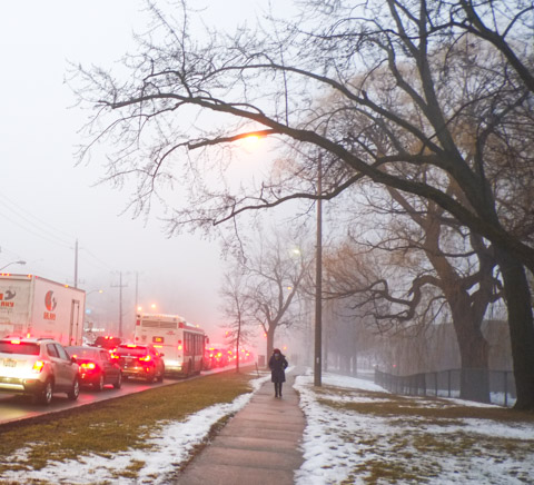 a person walks on a sidewalk on a foggy day, large trees and a park on the right, lots of traffic and red rear lights on the left