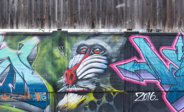 close up of a monkey or ape face with bright red nose, mural in an alley