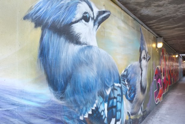mural, two blue jays