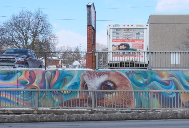 wall beside sidewalk at railway underpass, owl face