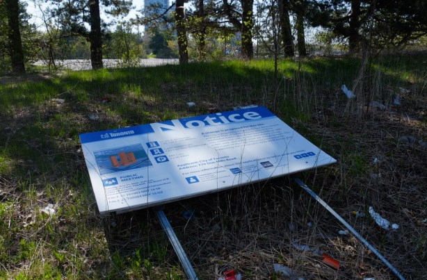 blue and white development notice sign lying on the ground in the shade under some trees, trash around it